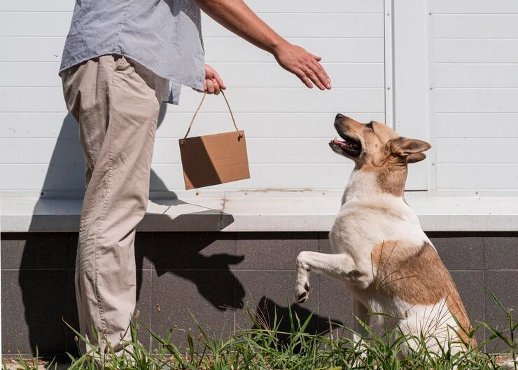 Relocation Planning & Personal Support